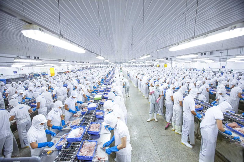 市场变化下的杭州大米批发趋势解读