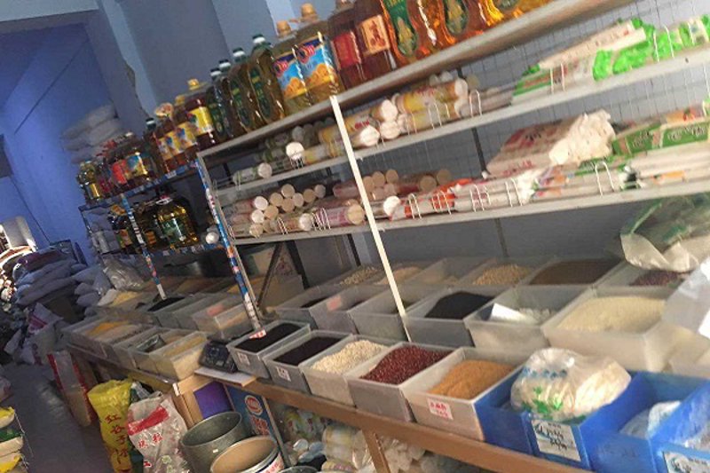 深入洞见：大米加工厂的发展与前景