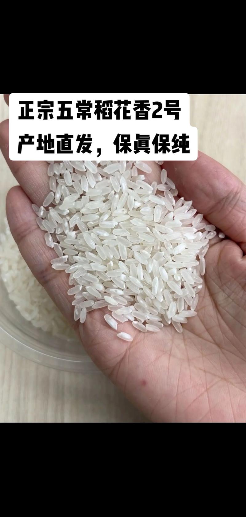 稻花香米：田野上的绿色精灵