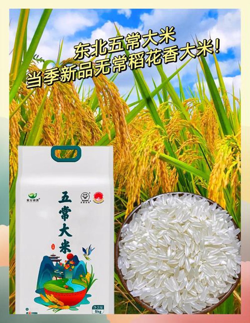 杭州大米批发：把握市场需求的风向标